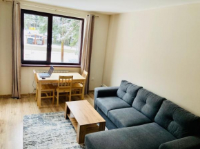 Cactus Apartment Borovetz